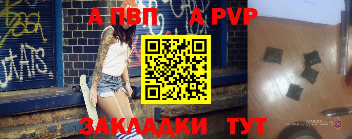 A PVP СК Алейск