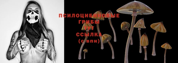 apvp Нягань