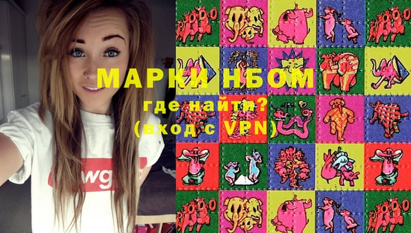 бошки Няндома