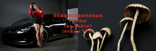 apvp Нягань
