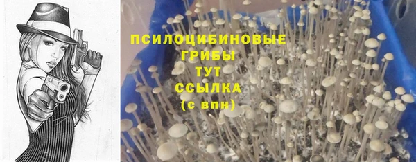 марки lsd Нязепетровск