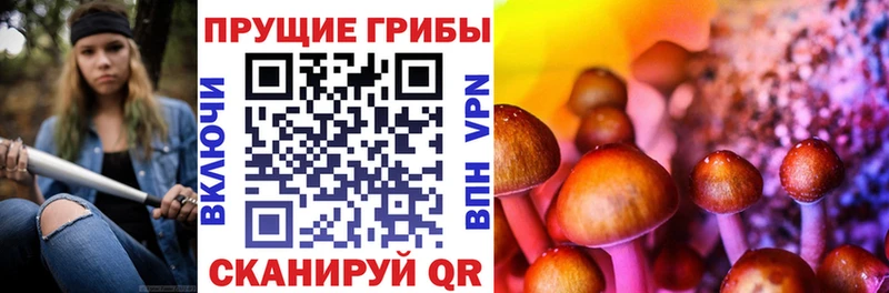 Псилоцибиновые грибы GOLDEN TEACHER Алейск