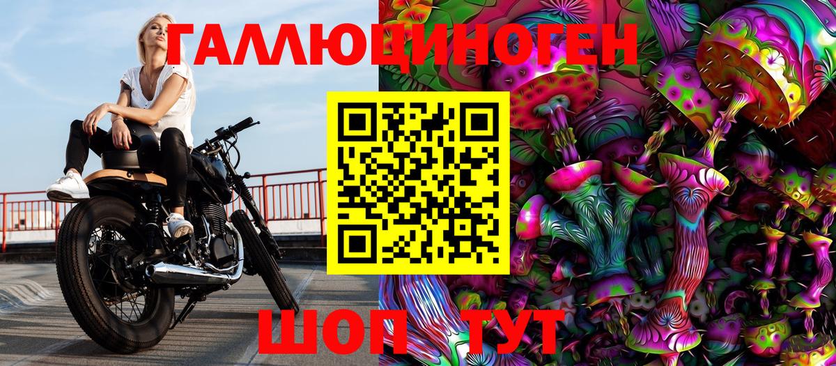 Псилоцибиновые грибы MAGIC MUSHROOMS  Галлюциногенные грибы мицелий  Алейск  Вход с VPN 