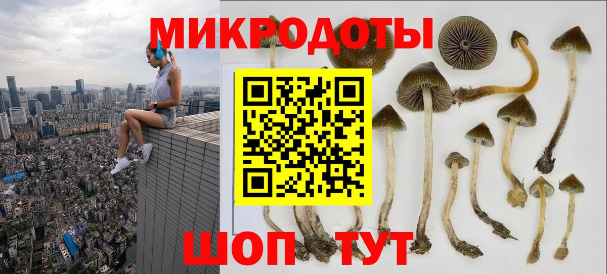 Галлюциногенные грибы мицелий Алейск