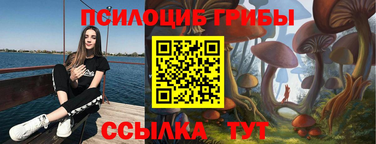 Галлюциногенные грибы Magic Shrooms Алейск