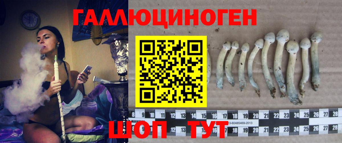 Алейск  Псилоцибиновые грибы Cubensis  Псилоцибиновые грибы мухоморы  Вход с VPN 