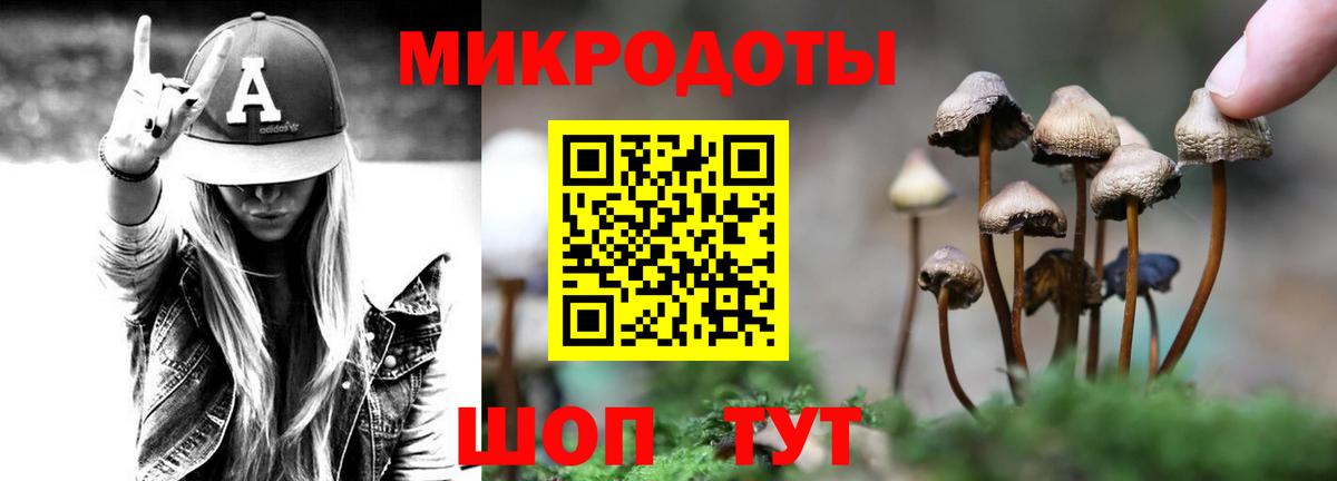Псилоцибиновые грибы Psilocybine cubensis  Алейск  Псилоцибиновые грибы прущие грибы 